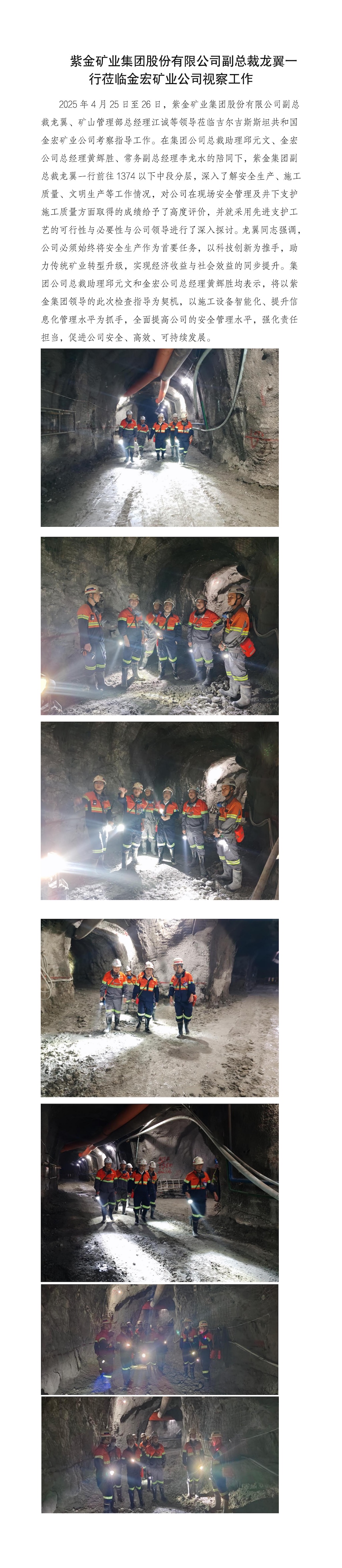 紫金集團副總裁龍翼一行蒞臨金宏公司視察工作(2)_01